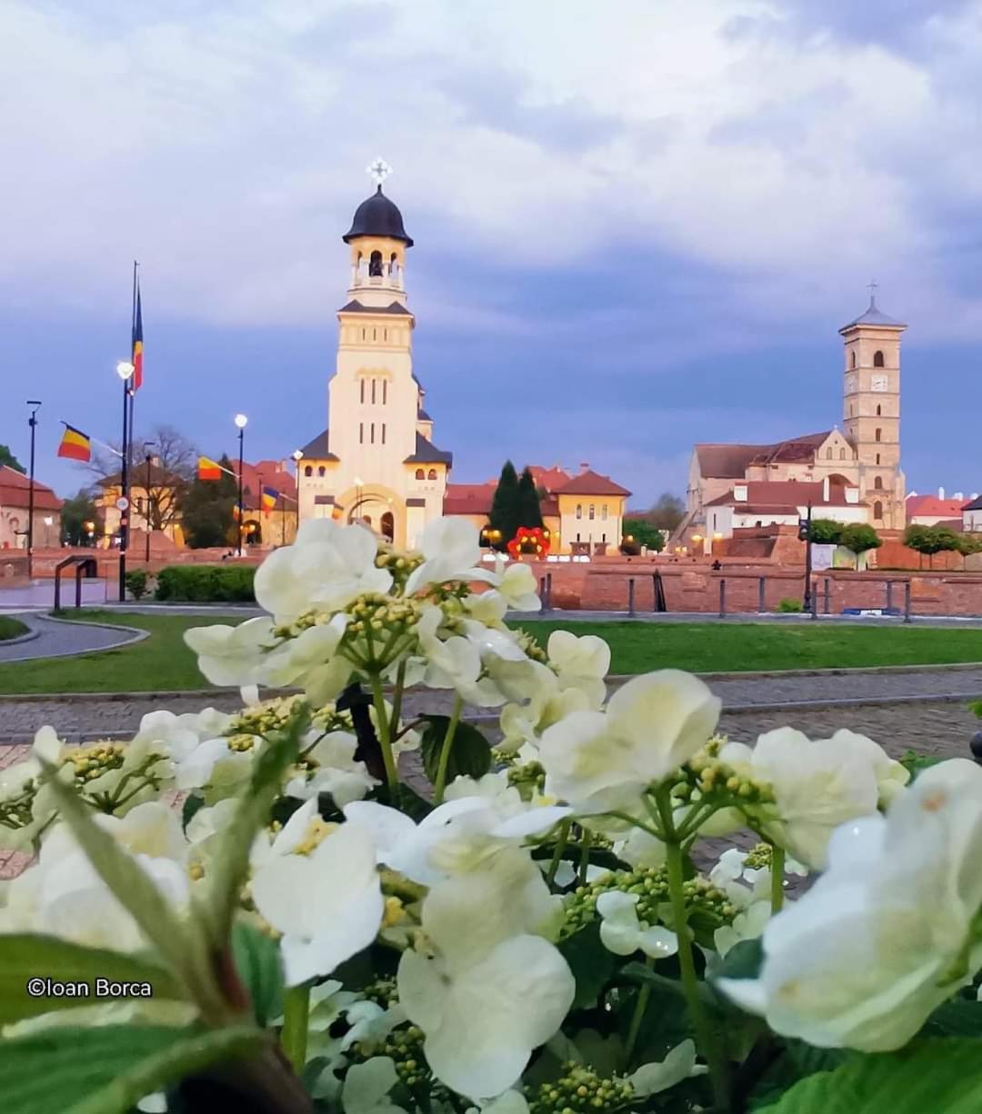 The View1 Appartement Alba Iulia Buitenkant foto
